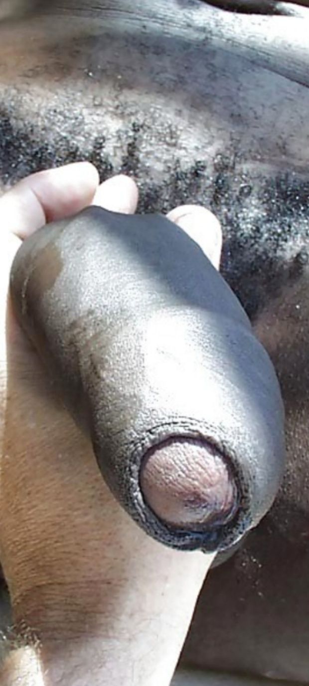 I love this view of this beautiful black cock ❤❤