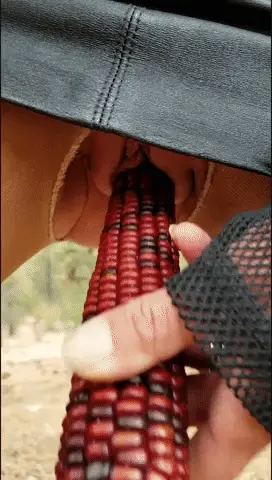 Corny toy