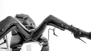 The best sex toys are alive. This one is about to get fucked hard.