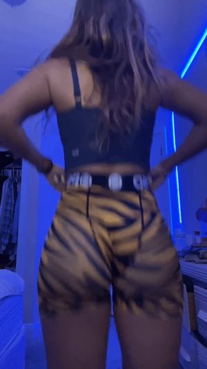 shorts leggings tights