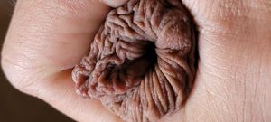 My velvet foreskin up close