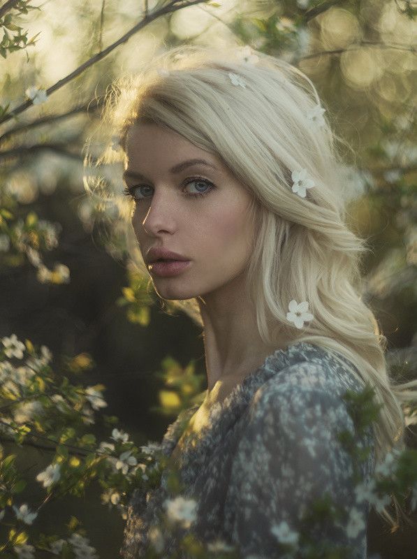 Forest Kiss