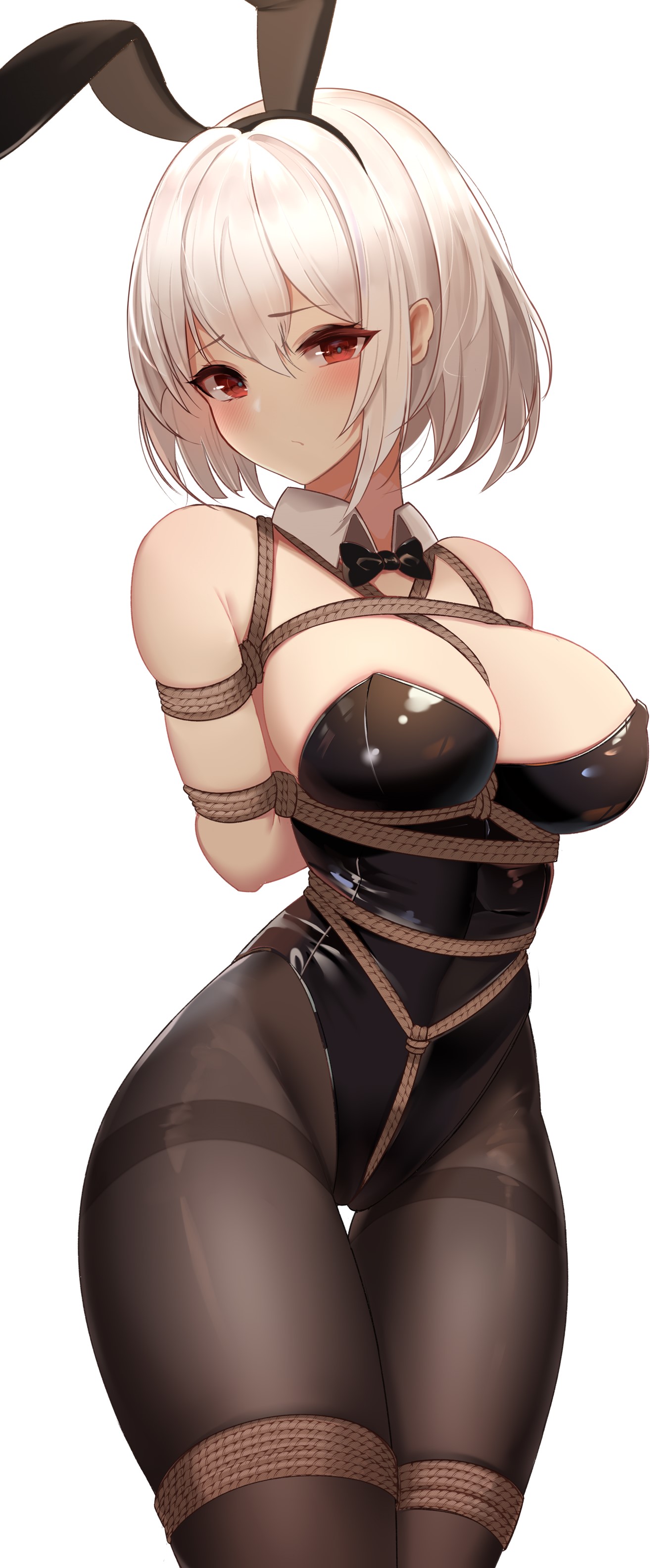 Bound bunny