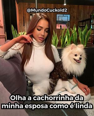 A cachorrinha da minha esposa