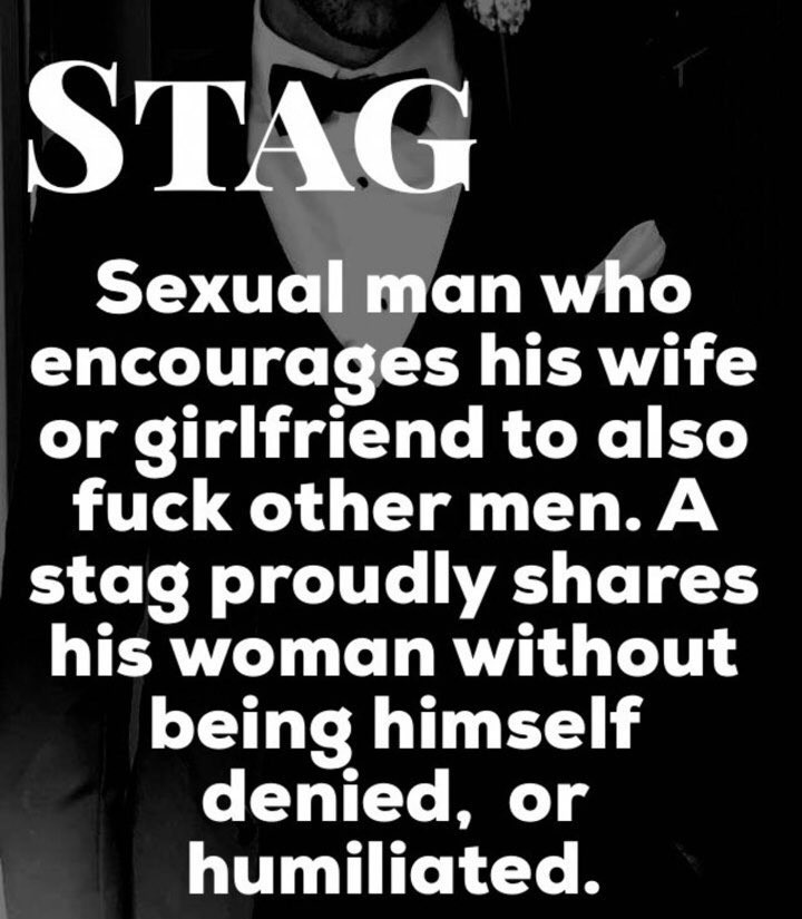 Stag