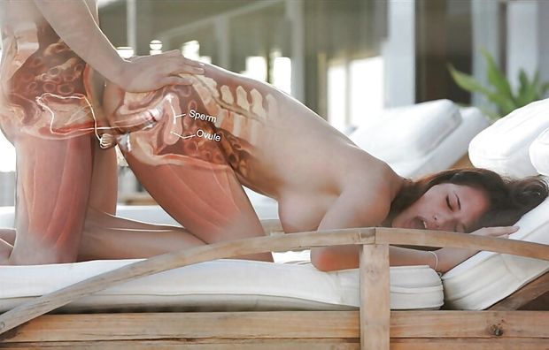 anatomy