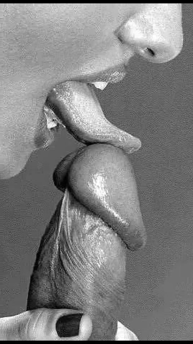 Lick that cock head