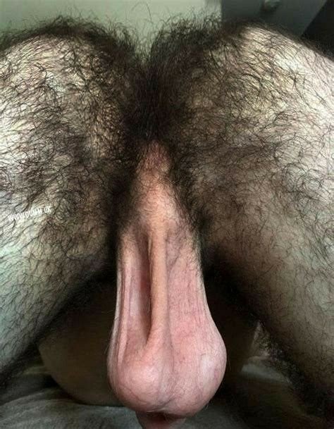 Hairy Man ass and smooth balls