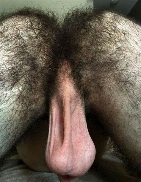 Hairy Man ass and smooth balls