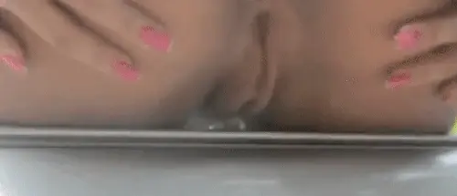 Latin ledge ass