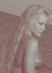 The beach & the blonde.