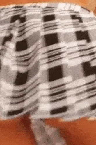 Plaid Skirt