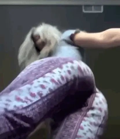 Spank that ass