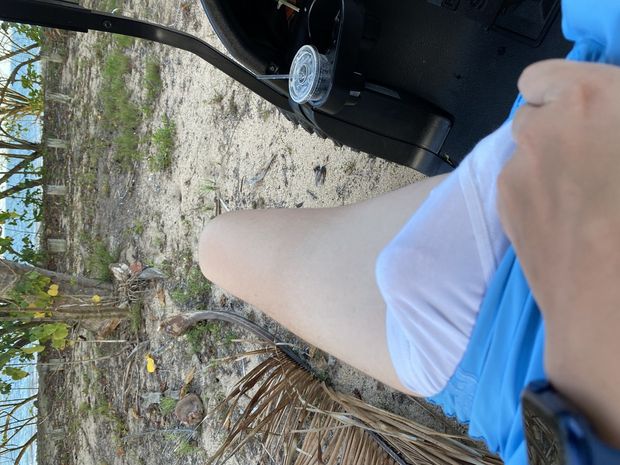 Horny at the beach