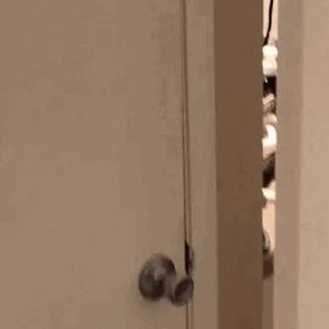 Clean after anal session