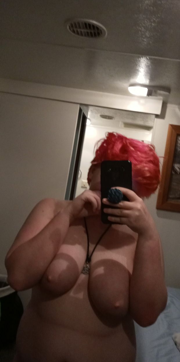 Pets boobs
