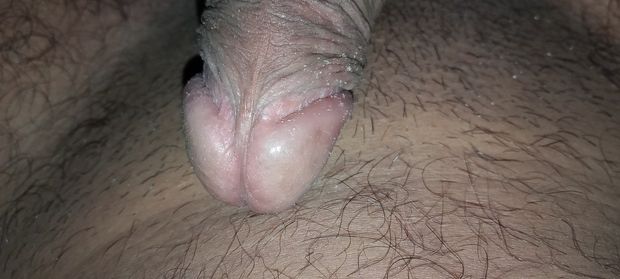 desi dick, penis