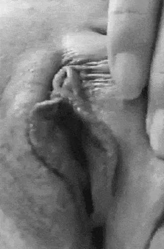 Pussy