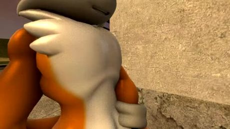 Tails & Renamon heartbeat (Rule34)