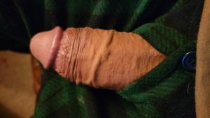 What do you think of my half-hard junk?