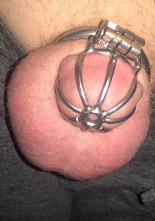 Cock locked in a tiny chastity cage. Picture from Laffin knome