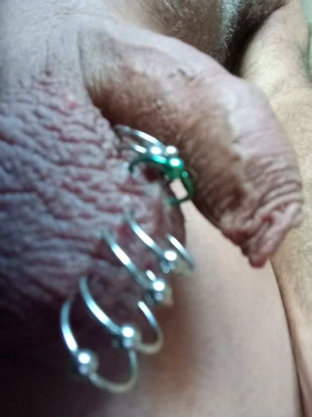 pierced scrotum , balls
