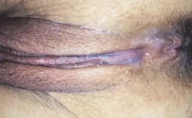 Wife/GF Creampie