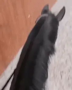 fuuuuuck