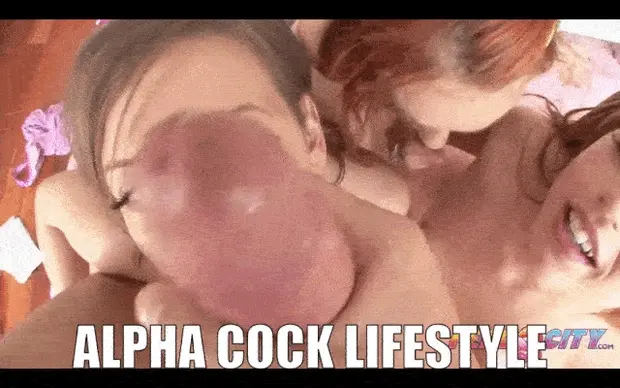 ALPHA COCK LIFESTYLE