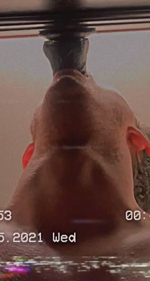 Keeping up with my daily big fat cock sucking training.