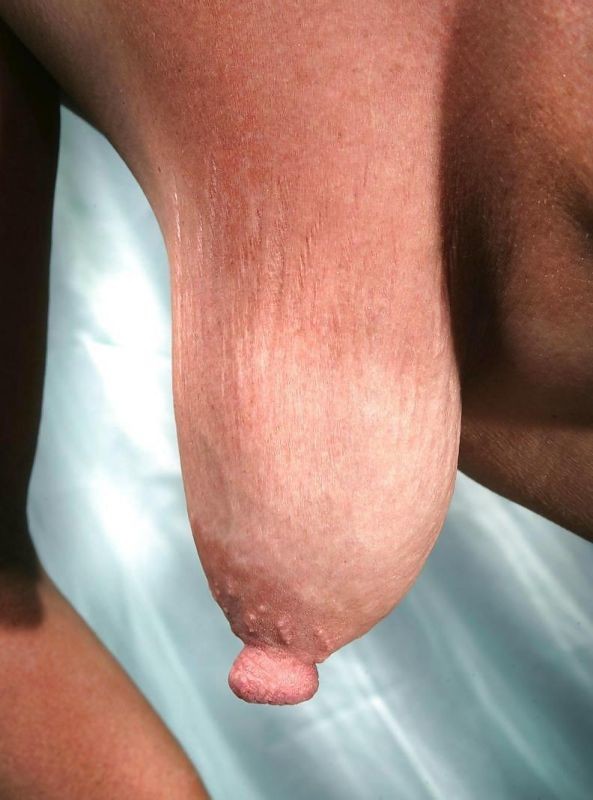 Nice empty sagger