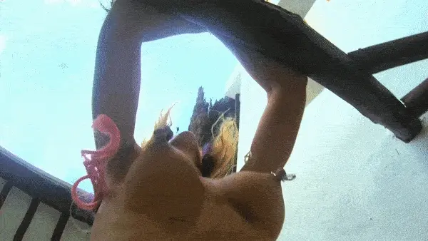 Bouncing Eraser Nipples