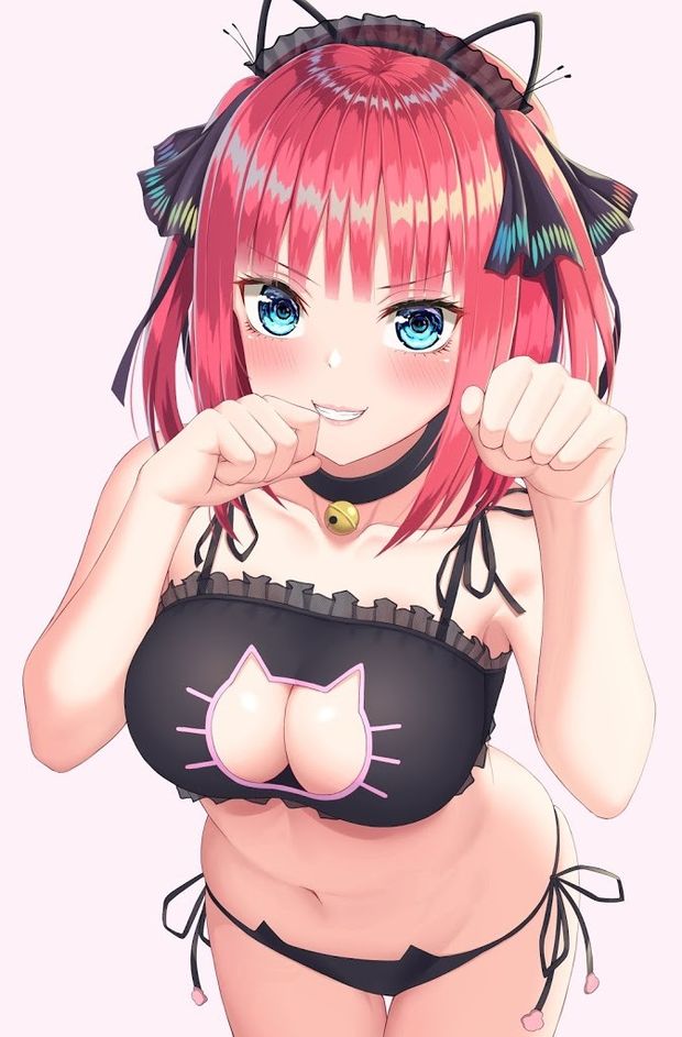 nino cat