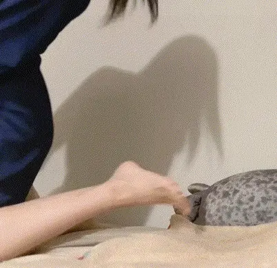 Rui Kiriyama (Models Link)