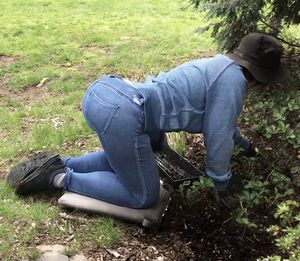 Now where did I leave my dildo...