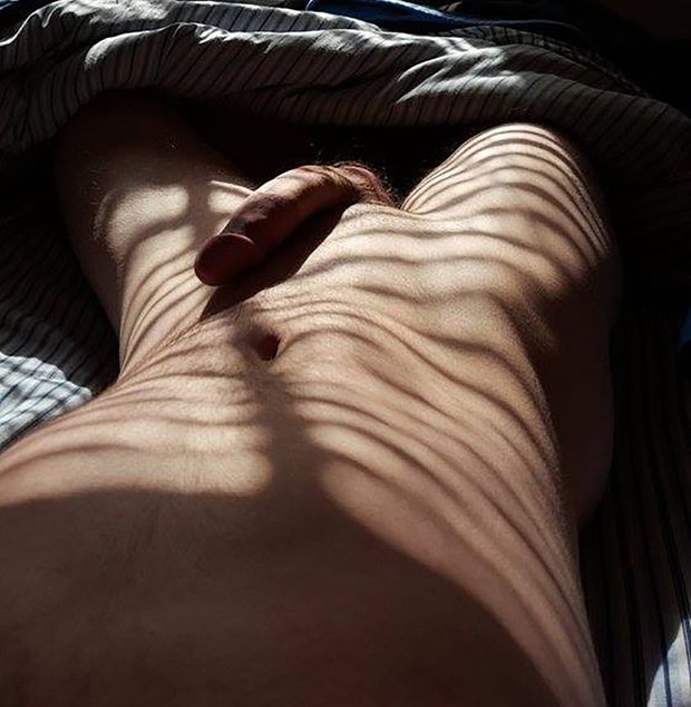 morning wood