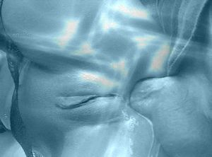 Under water anal fuck