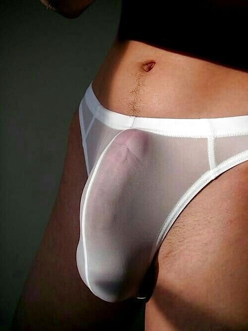 penis
