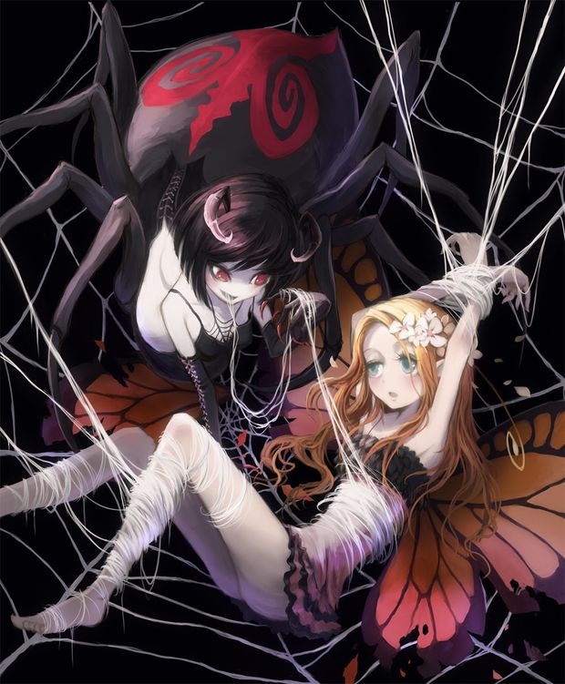 Spider
