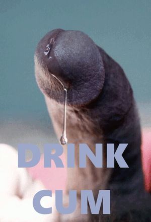 Drink cum