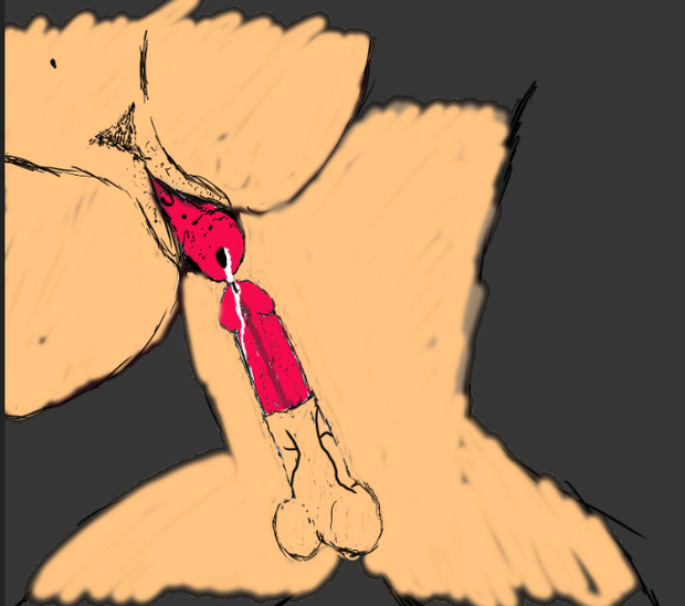 Extreme pleasure, ripped cock witha a prolapsed pussy