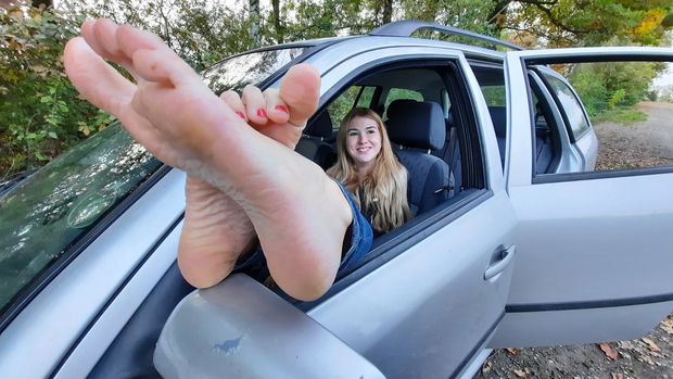 Bunny and her big feet in the car