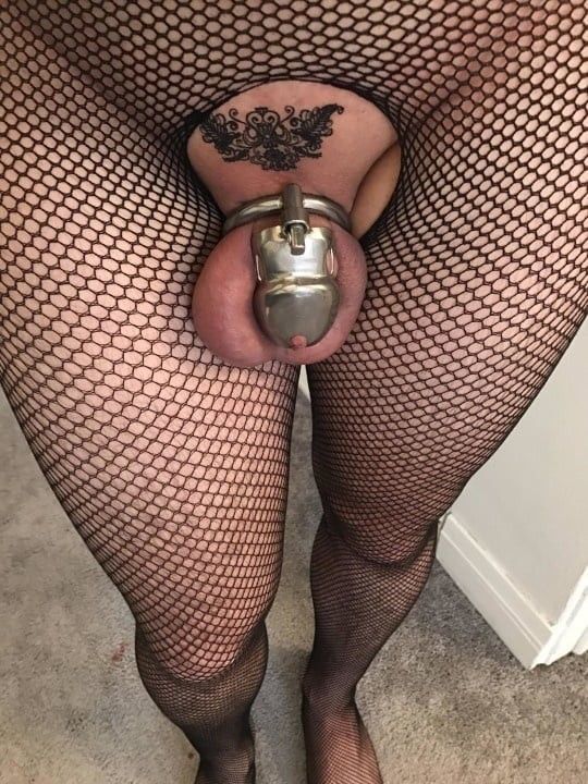 sexy caged sissy