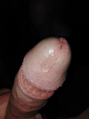 Elkokot87 Picture