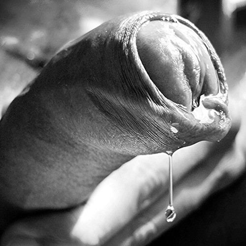 Dripping uncut dick