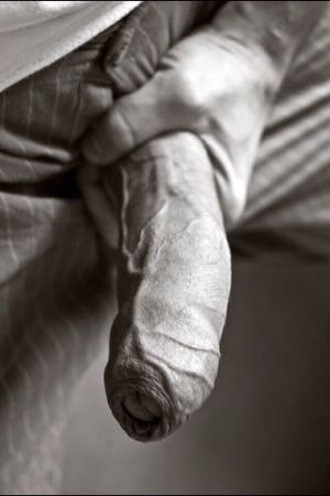 Veiny uncut cock