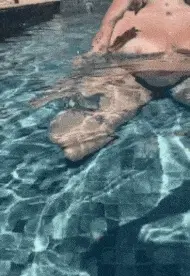 Pools and Tits