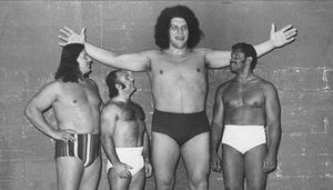 Andre the Giant. ❤️