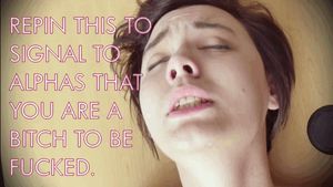 Let this post signal to all those sexy alphas~