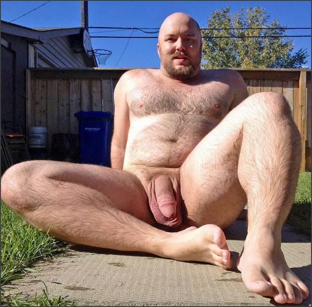 El hermoso bear